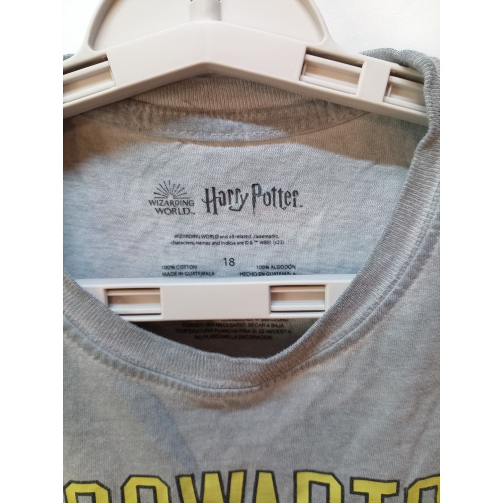 Harry Potter Hogwarts Alumni Boy's T-Shirt, Size 18 XL, Gray - Picture 2 of 5